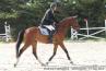 Tefnout - Sandillon 17 mai 2011