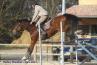 Tefnout et Tom - 8mars 2011