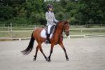 [12 juin 2025] - Cavale et Valinor officiellement Welsh part bred