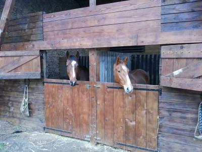 Vosnes (Jenny de la Cense) et Beaune (Fango In Blue)