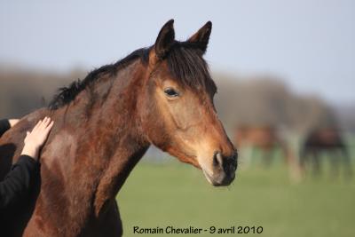 Tefnout Palija (Pauline Chevalier)