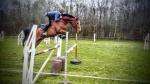 [01 juin 2016] - Vosne Romanée, une championne en herbe