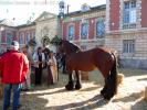 [30 septembre 2012] - 2ème place pour Choupette à la St Lubin