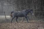 [6 janvier 2024] - Moonwalk Palija en images!