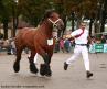 A 4 ans- National Auxois